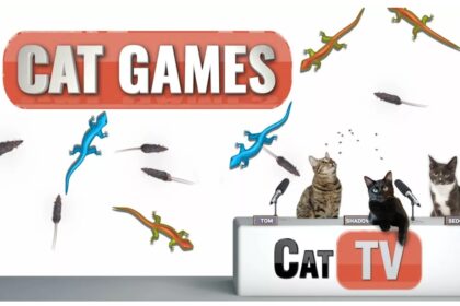games for cats
