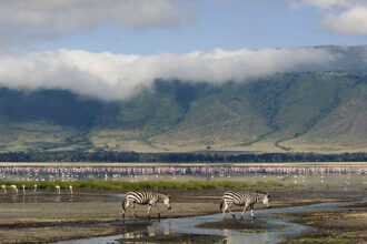 Serengeti