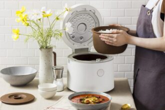 rice cooker with steamer