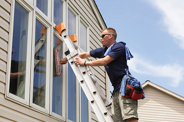 window washing services