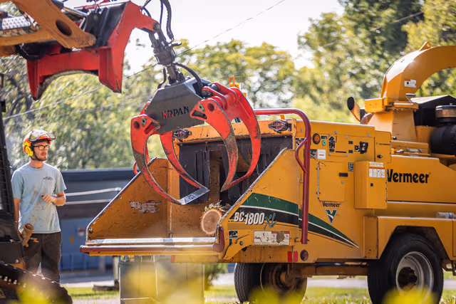 Why Professional Tree Removal Services Matter for Wisconsin Properties