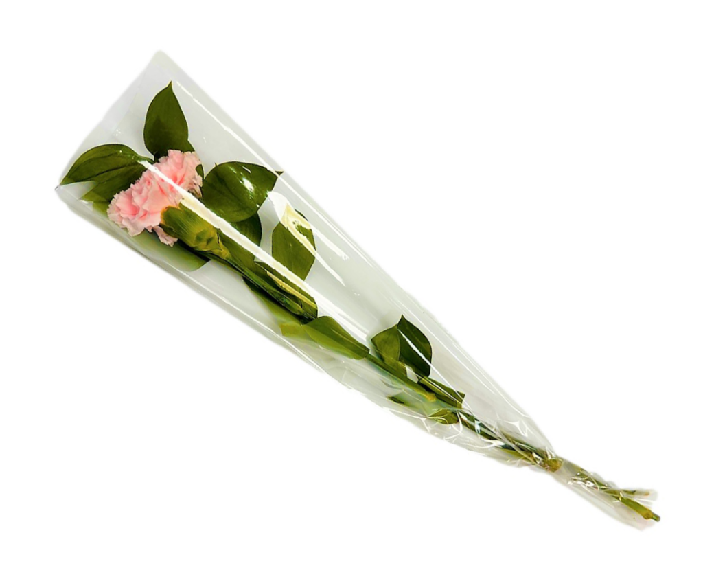 wholesale carnations