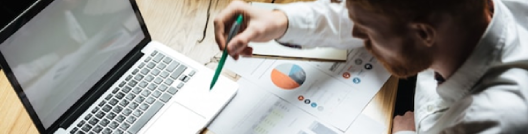 professional translation services