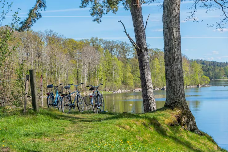 River Ranch Mud Park